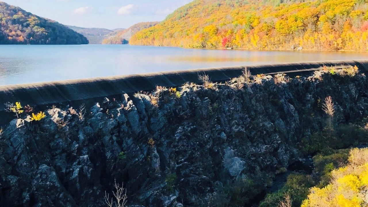 Photo of Others in Winchester