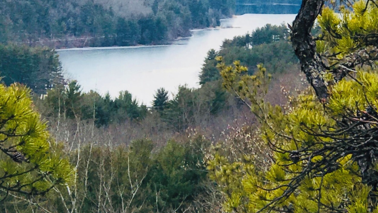 Photo of Others in Winchester