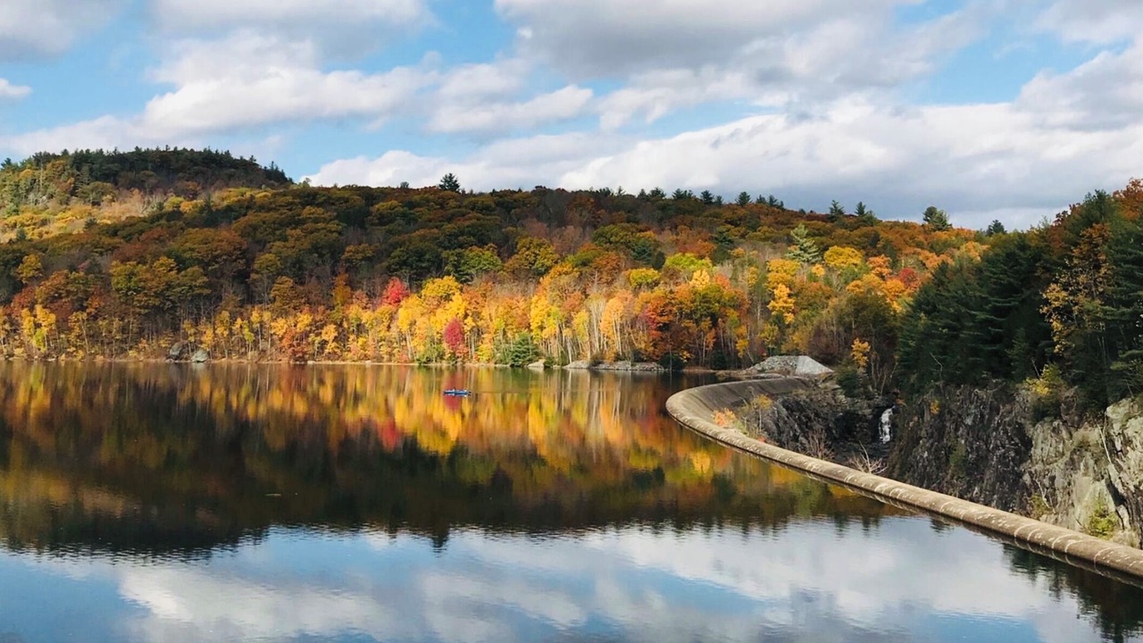 Photo of Others in Winchester