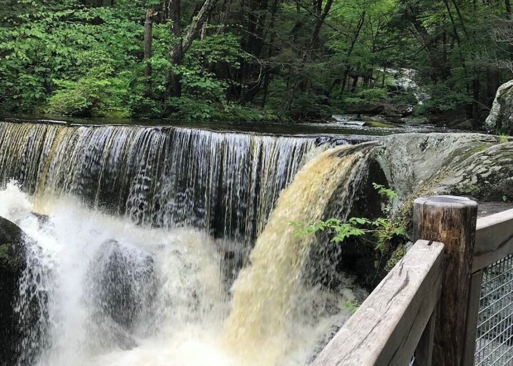 Photo of Others in Winchester