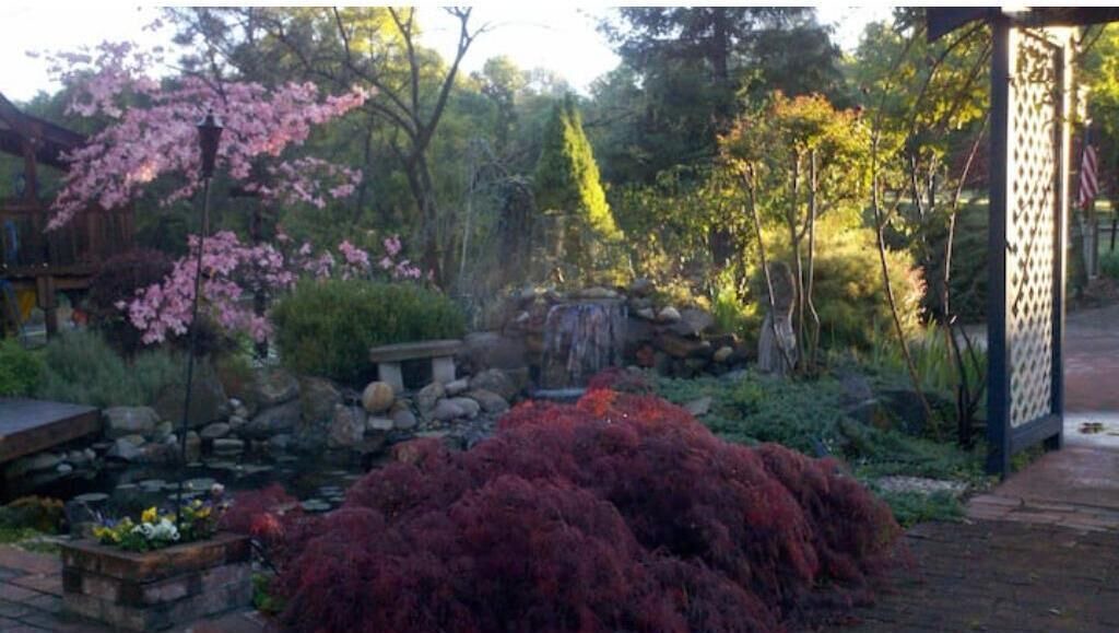 Photo of Outdoor in Placerville