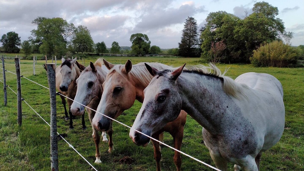 Photo of Outdoor in Saint-Herblain