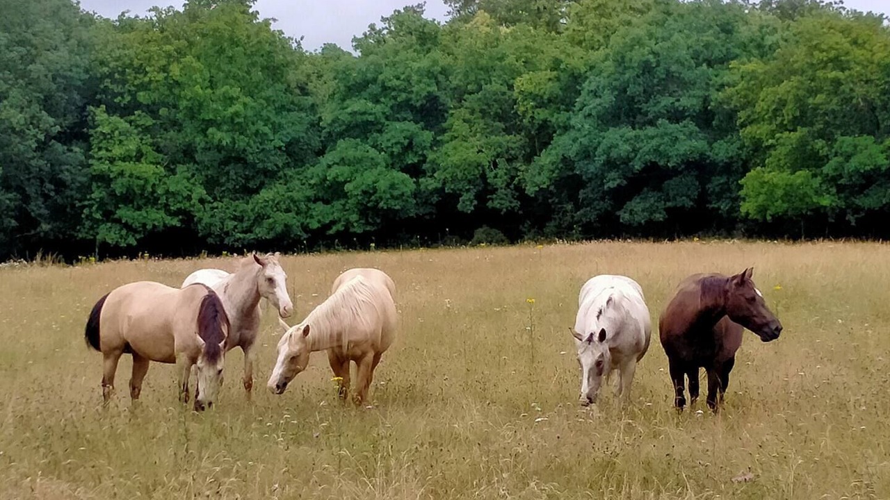 Photo of Outdoor in Saint-Herblain