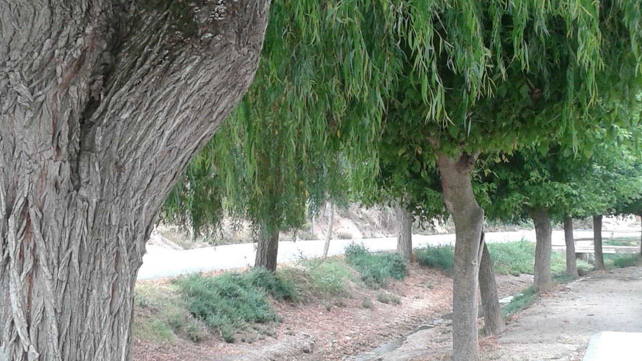 Photo of Others in Castello de Farfanya