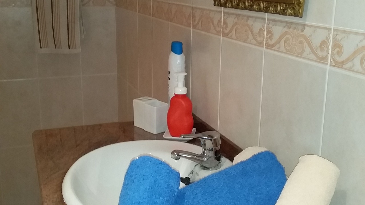Photo of Bathroom in Castello de Farfanya