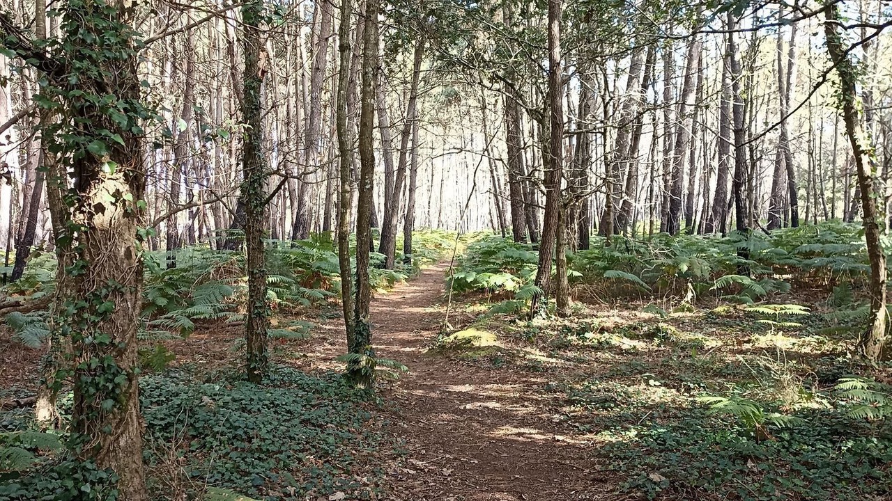 Photo of Others in Plouhinec