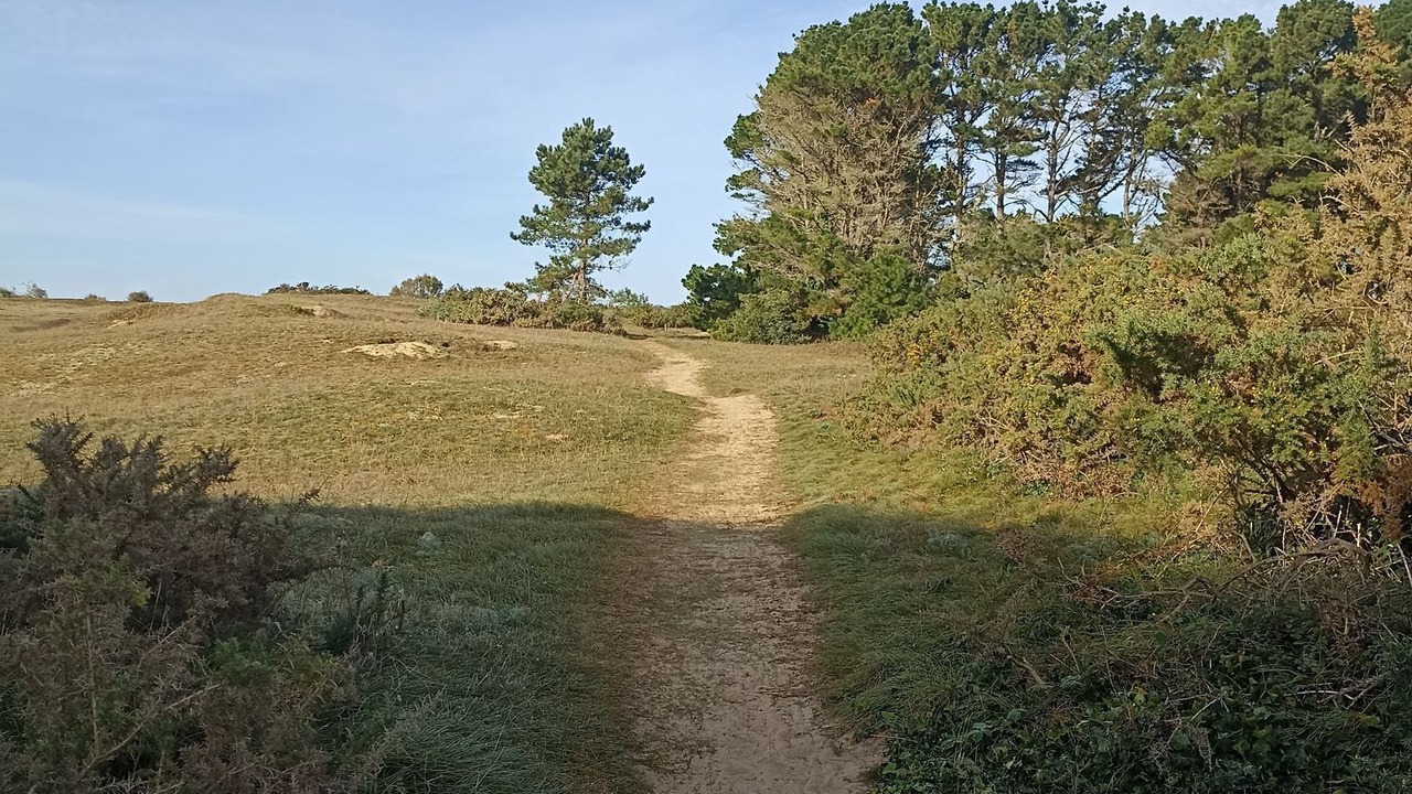 Photo of Others in Plouhinec