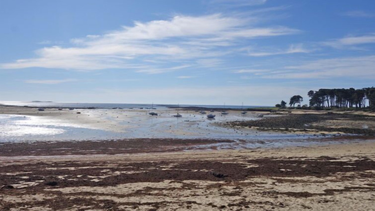 Photo of Outdoor in Saint-Philibert