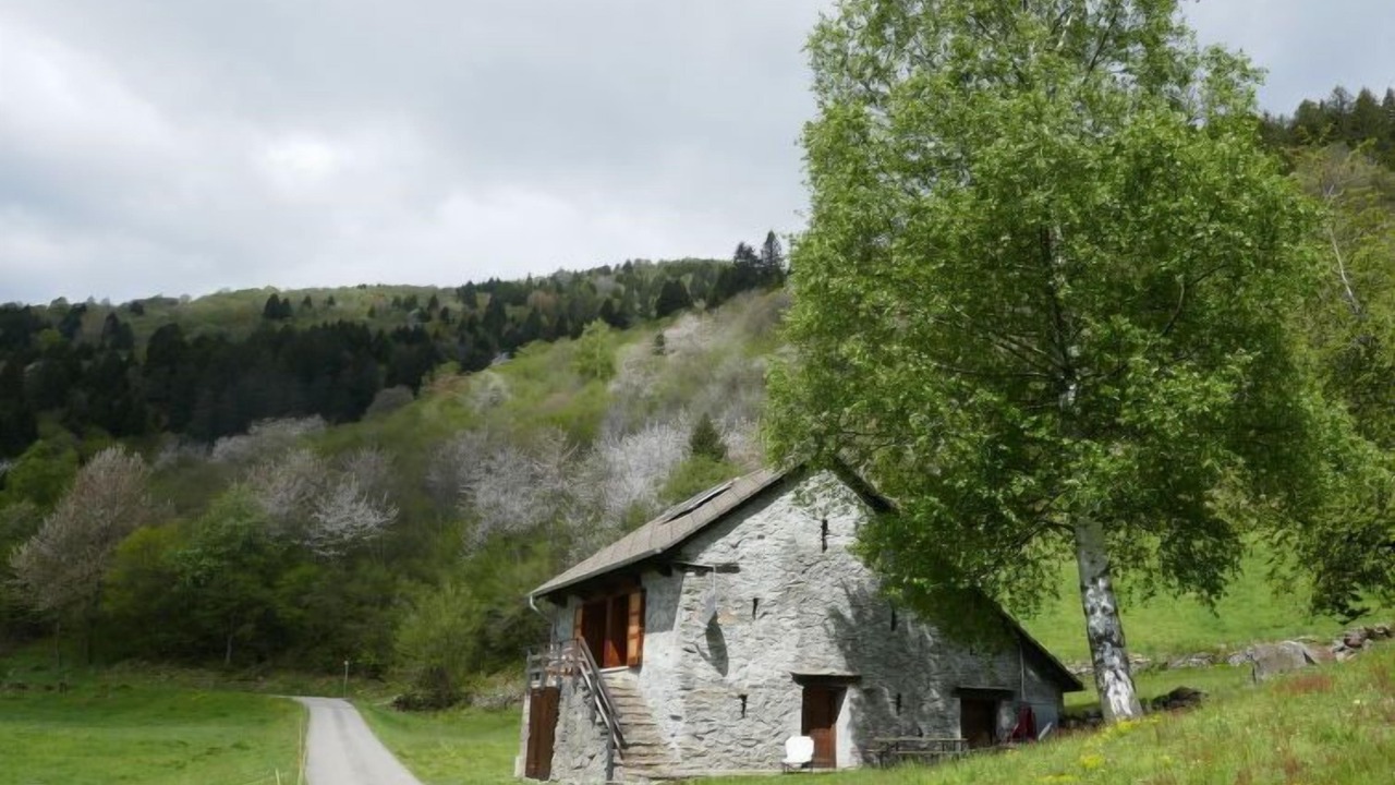 Photo of Others in Acquarossa