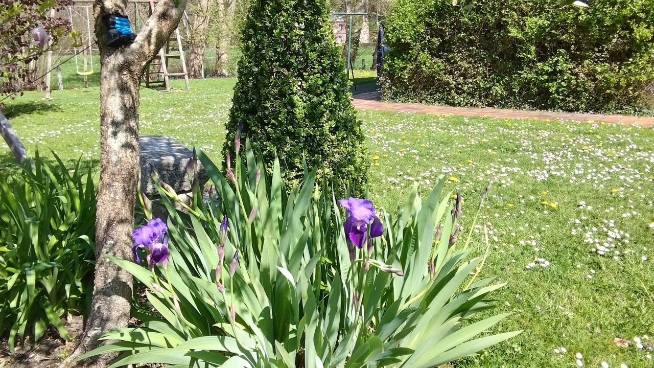 Photo of Outdoor in Oherville