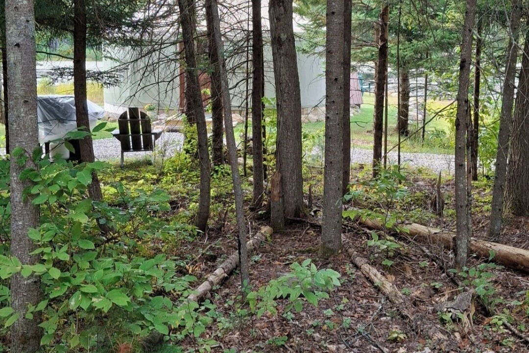 Photo of Outdoor in Olmstedville