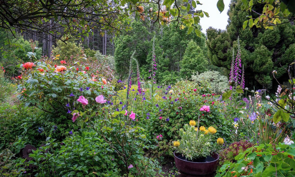 Photo of Outdoor in Mendocino