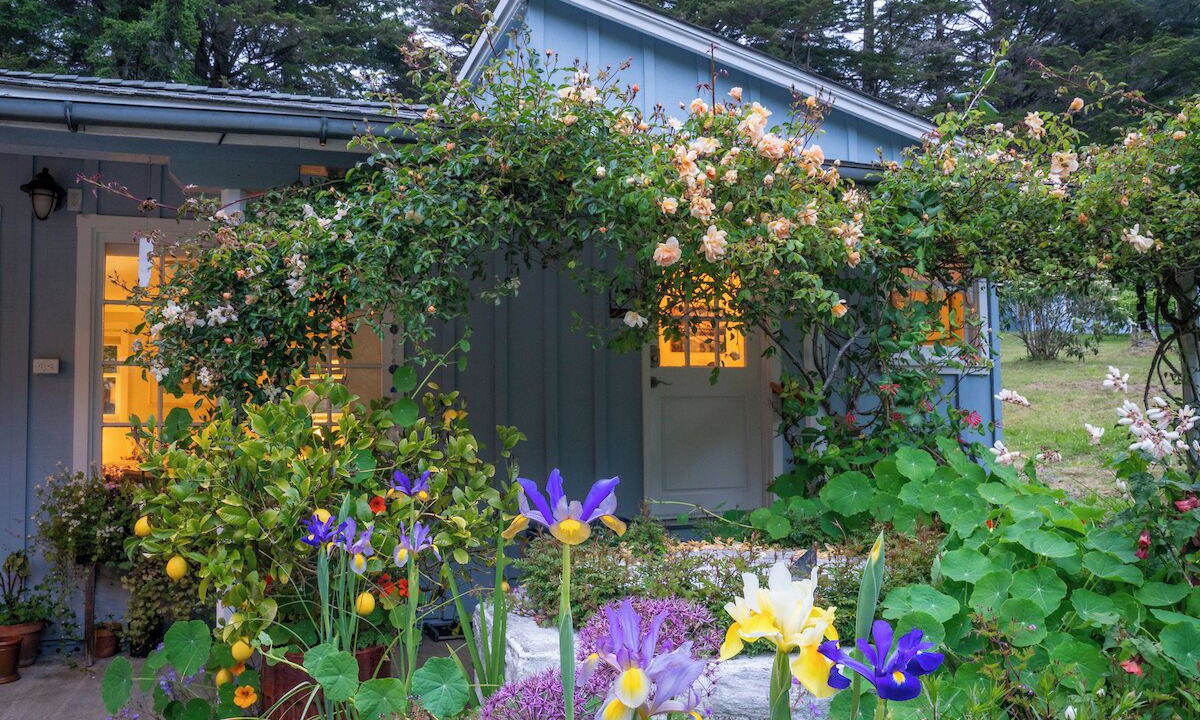 Photo of Others in Mendocino