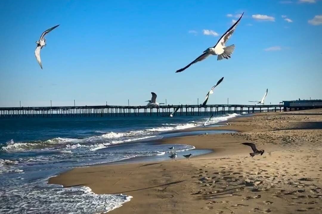Photo of Others in Virginia Beach