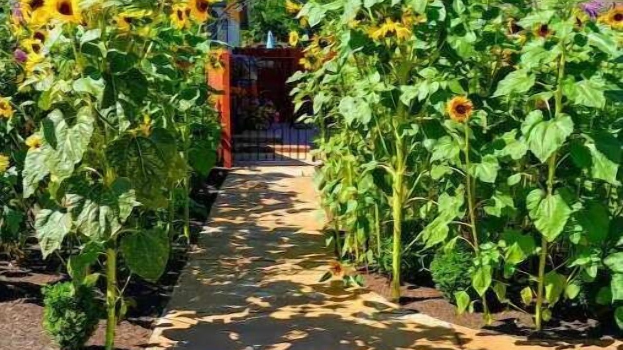 Photo of Outdoor in Dayton
