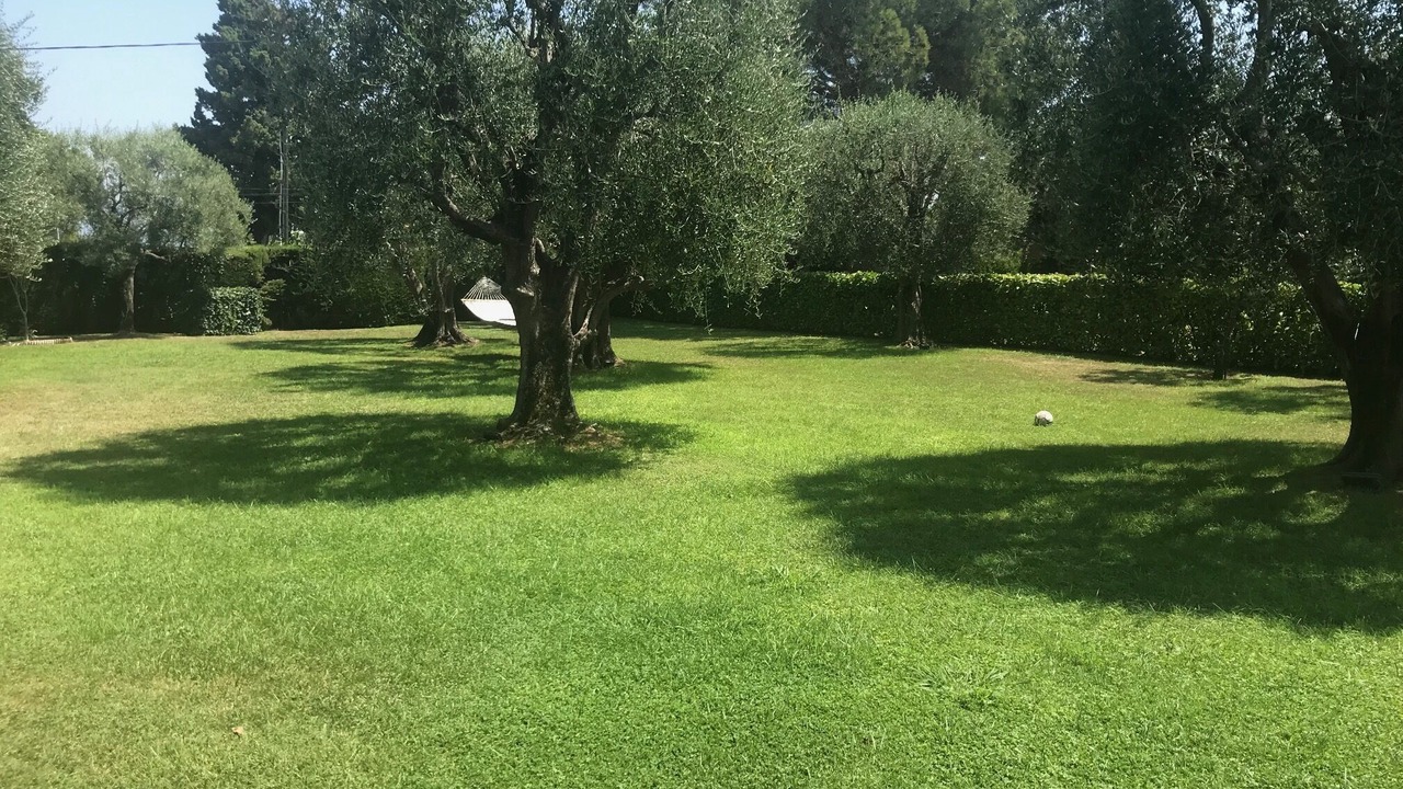 Photo of Outdoor in La Gaude