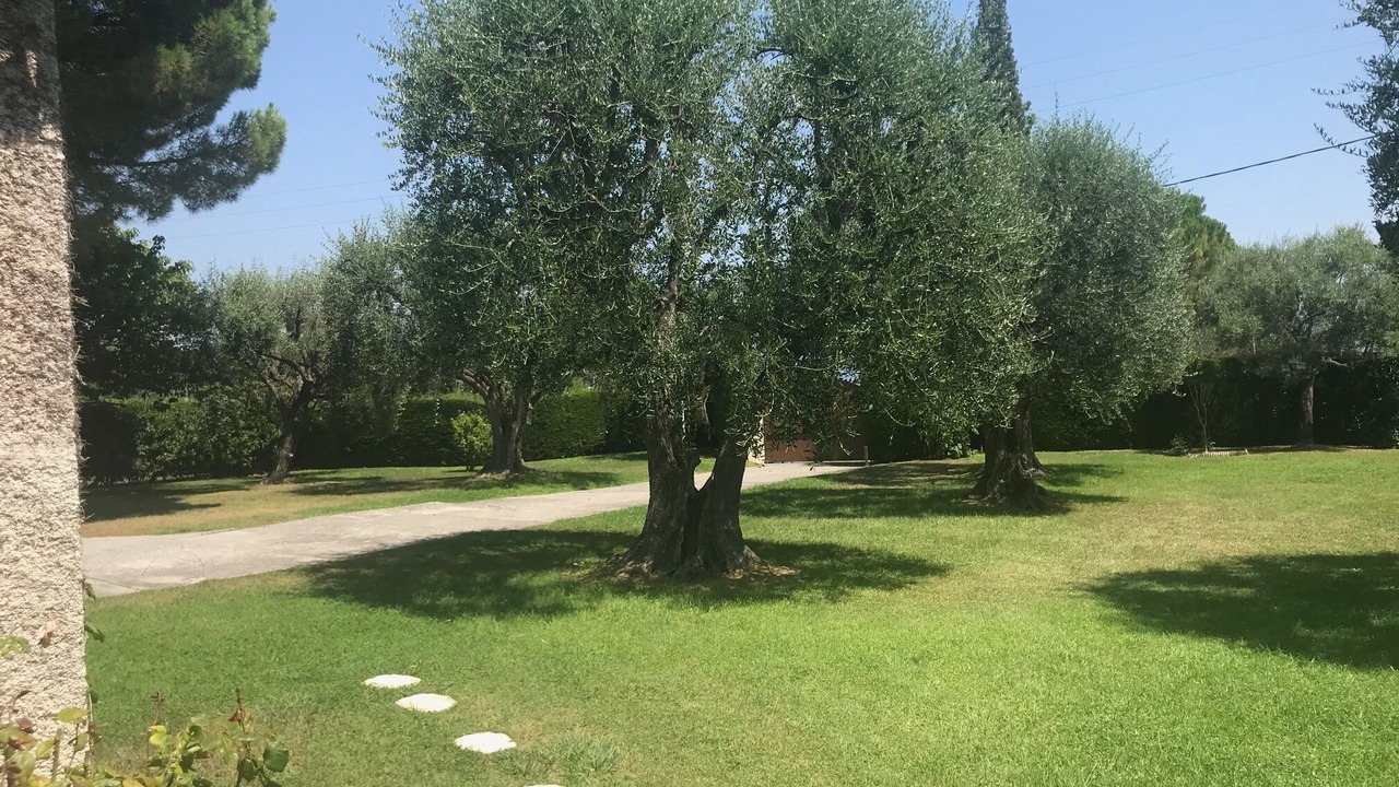 Photo of Outdoor in La Gaude