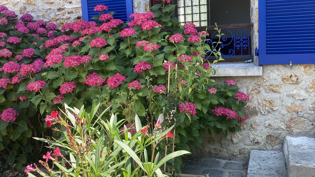 Photo of Outdoor in Orgeval