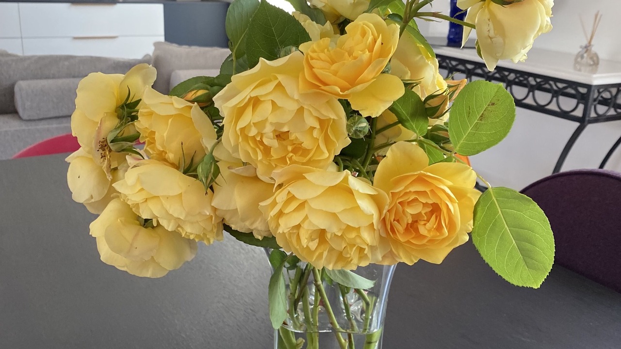 Photo of Others in La Rochelle City Centre