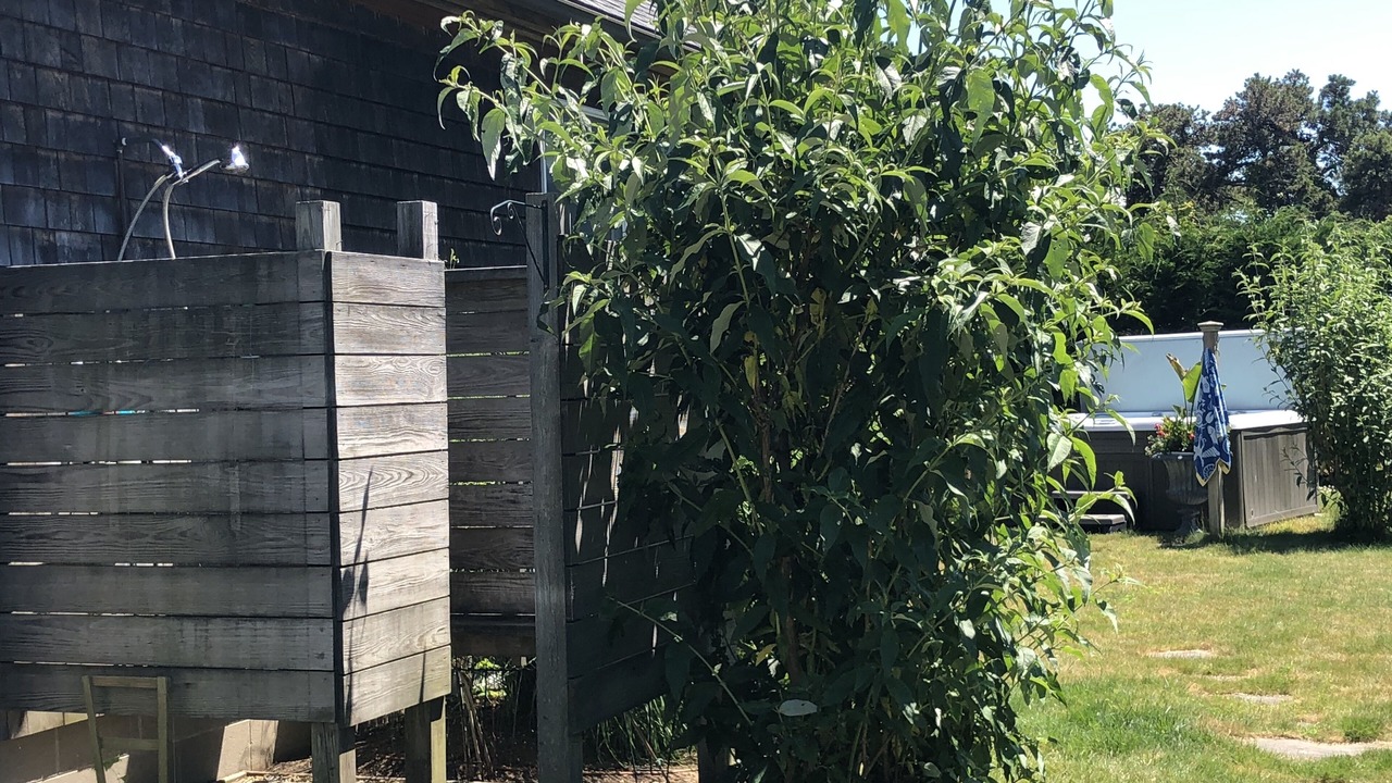 Photo of Outdoor in Surfside