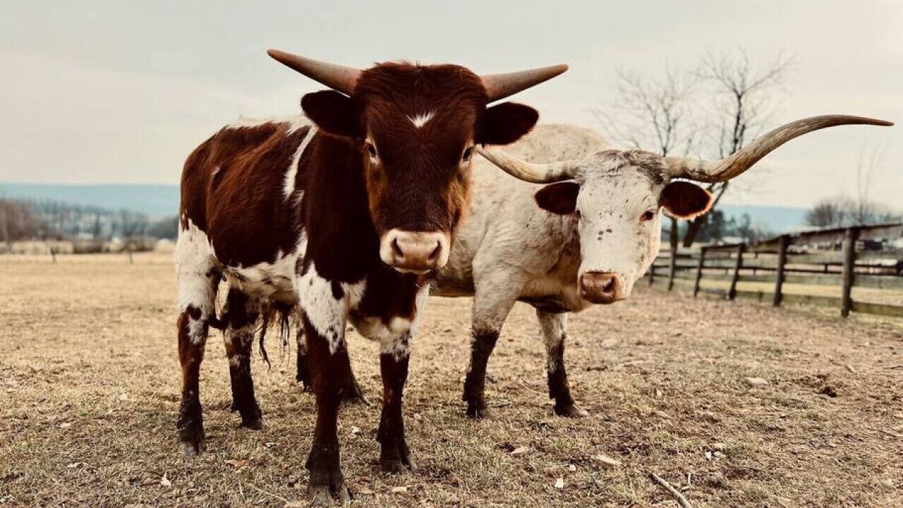 Photo of Others in Pine Grove