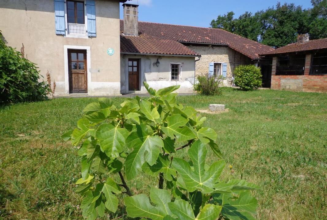 Photo of Outdoor in Mimbaste