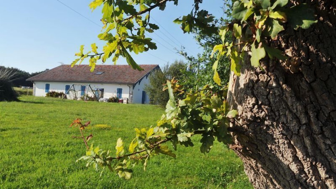 Photo of Outdoor in Orist