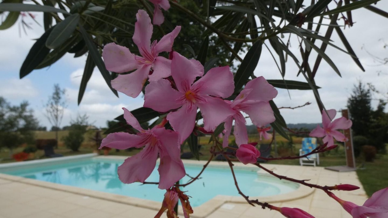 Photo of Outdoor in Montsoue