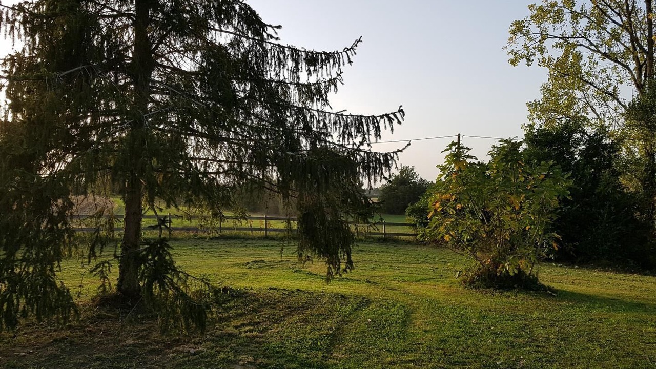 Photo of Outdoor in Toulouzette