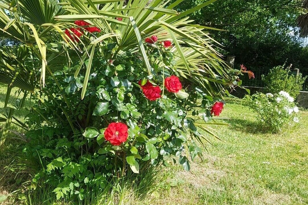 Photo of Outdoor in Toulouzette