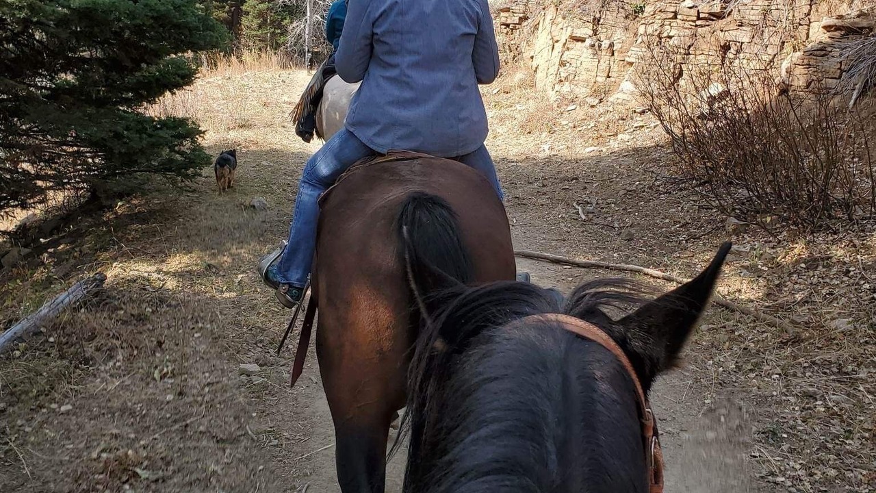 Photo of Outdoor in Bone