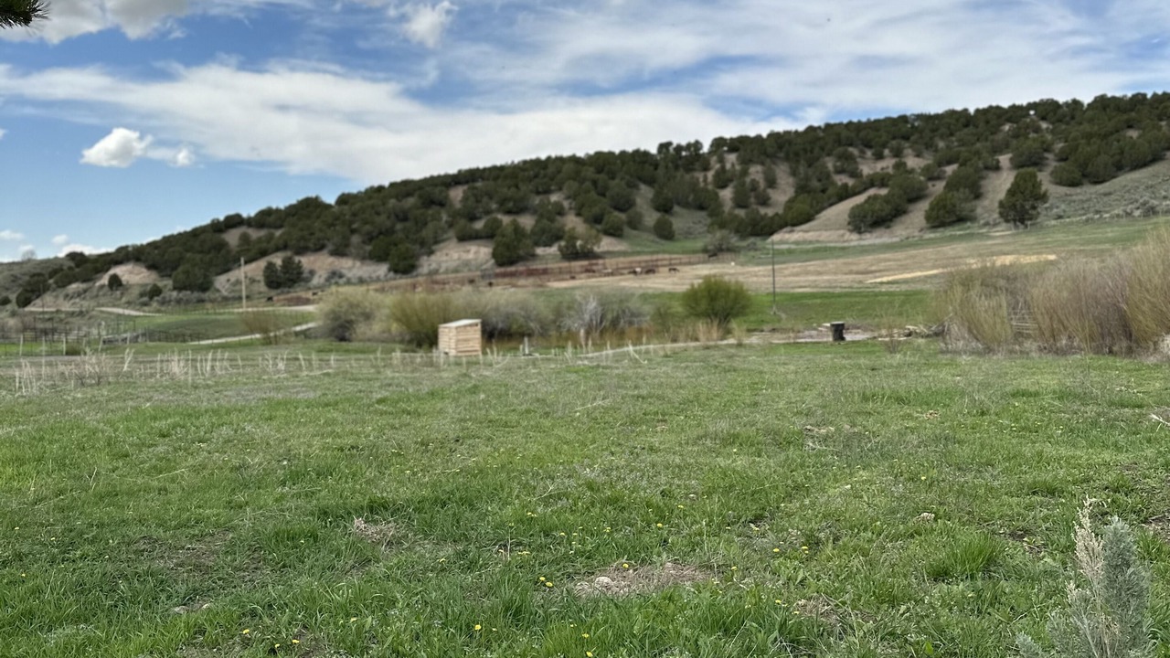 Photo of Outdoor in Bone