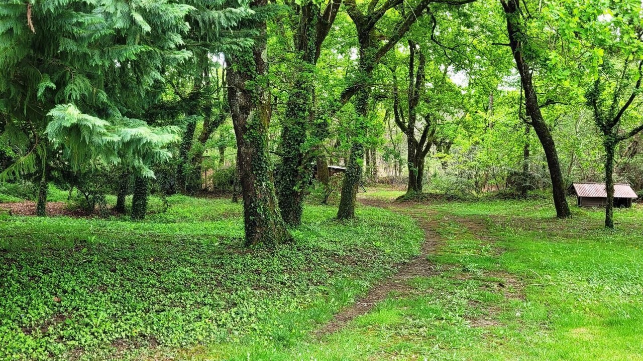 Photo of Others in Bascons