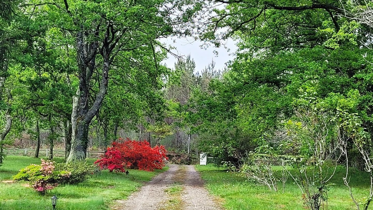 Photo of Others in Bascons