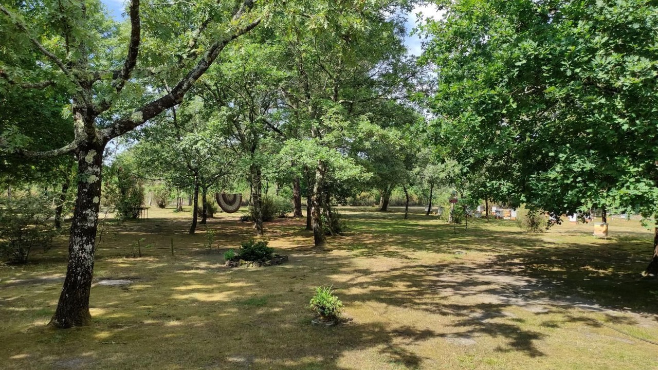 Photo of Outdoor in Sainte-Eulalie-en-Born