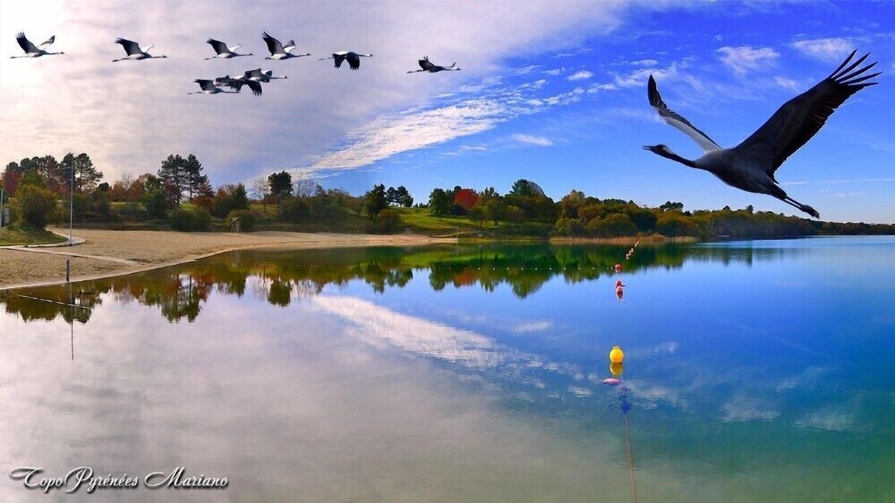 Photo of Others in Morcenx