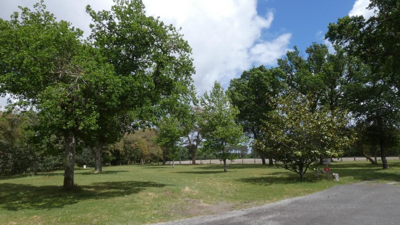 Photo of Outdoor in Herm