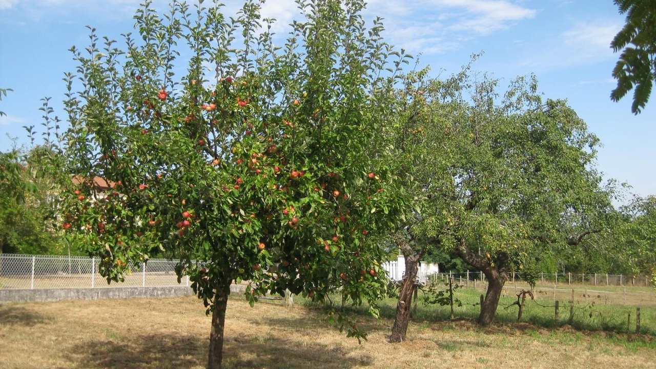 Photo of Outdoor in Ossages