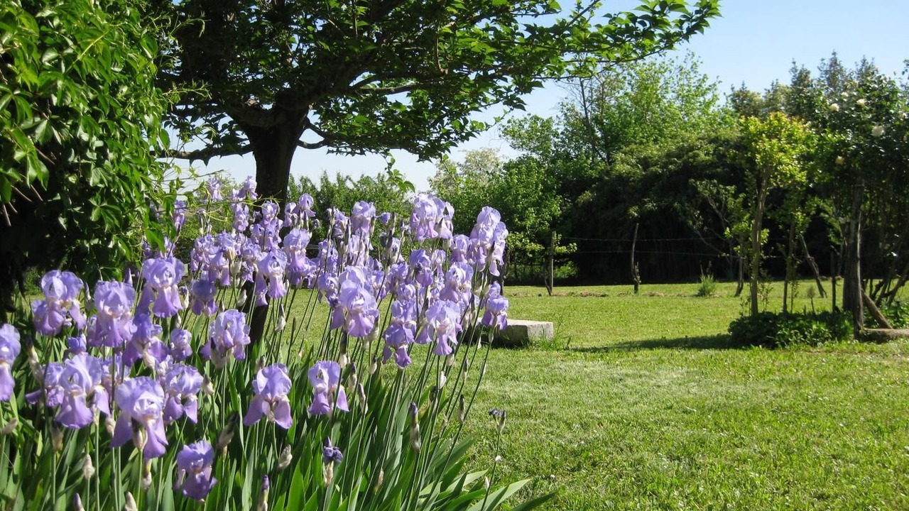 Photo of Outdoor in Ossages