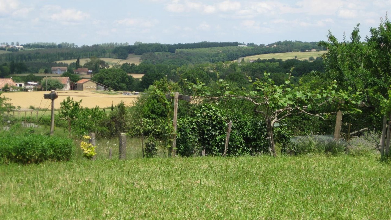 Photo of Outdoor in Ossages