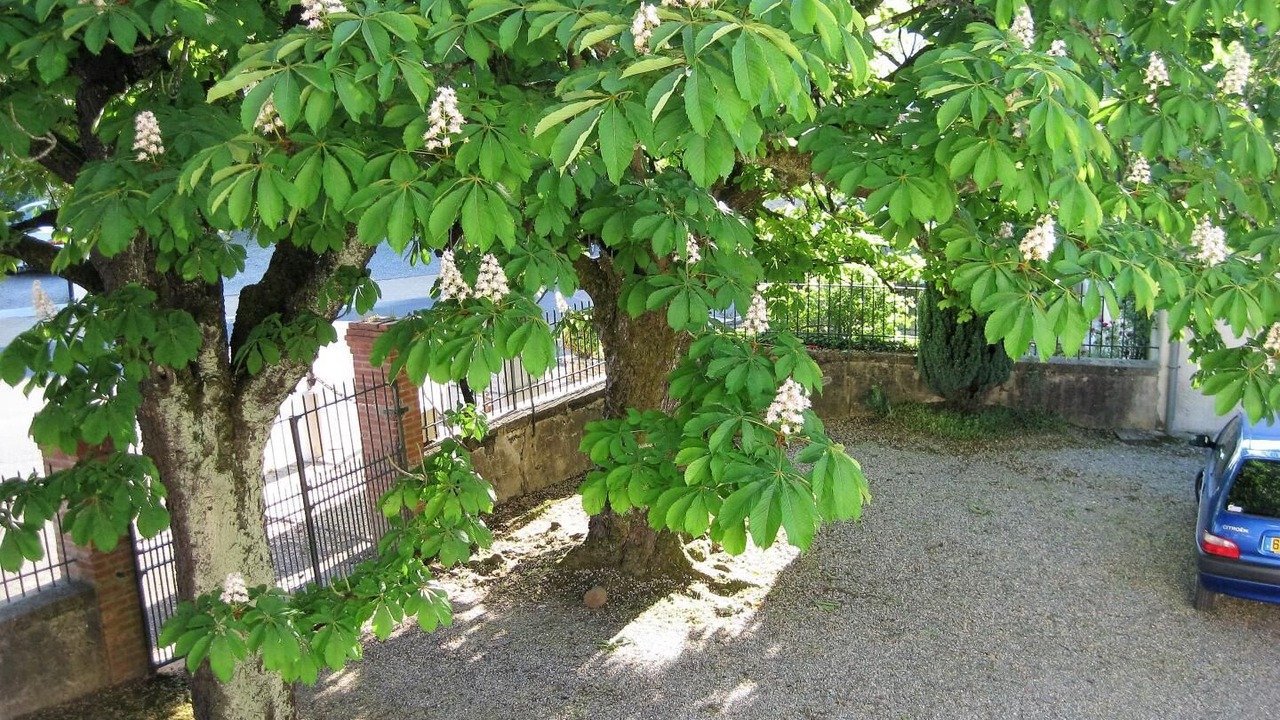 Photo of Outdoor in Ossages