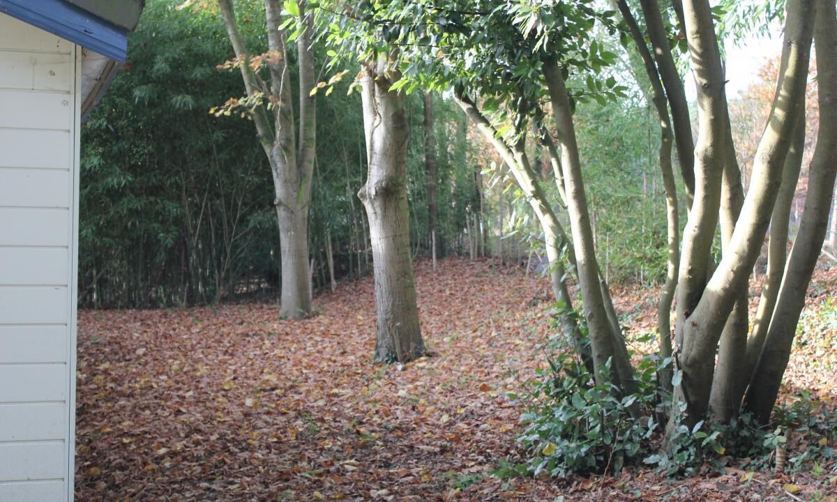 Photo of Outdoor in Taller