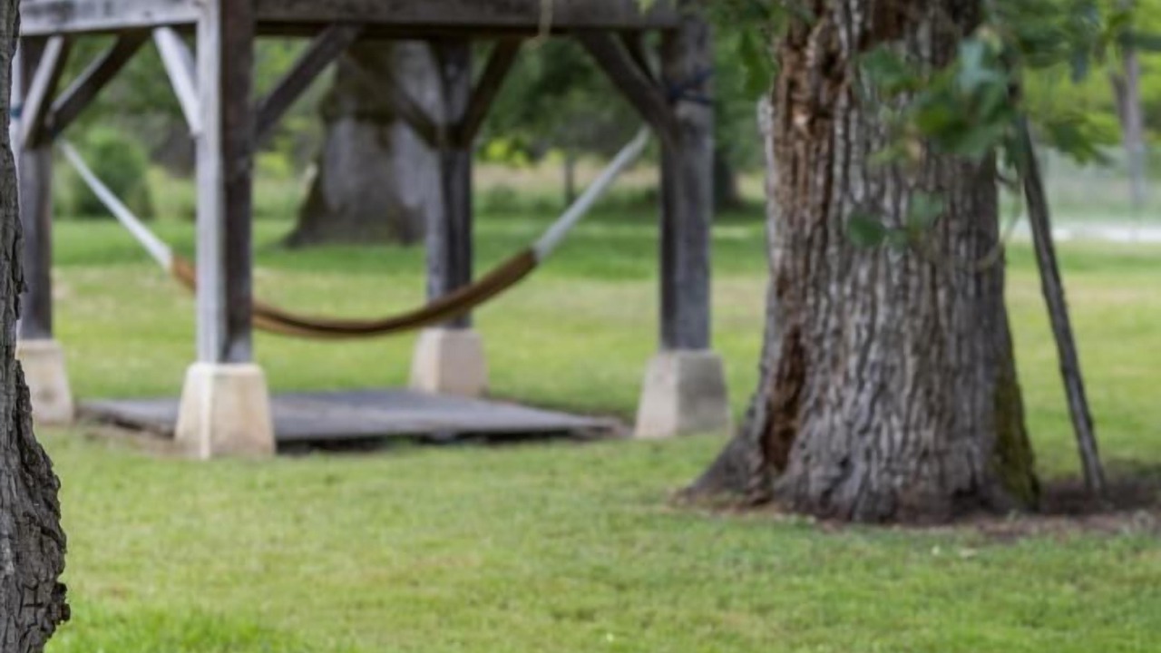 Photo of Outdoor in Canenx-et-Reaut