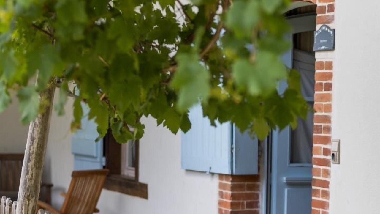 Photo of Outdoor in Canenx-et-Reaut