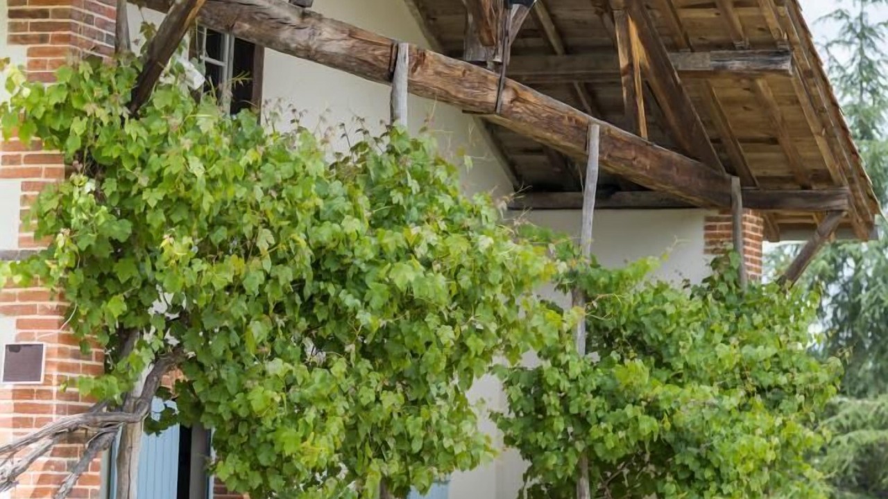 Photo of Outdoor in Canenx-et-Reaut