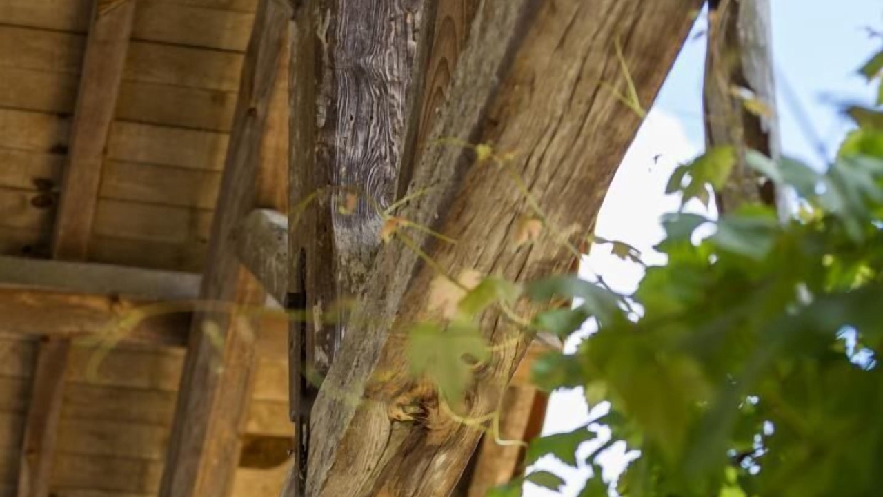 Photo of Outdoor in Canenx-et-Reaut