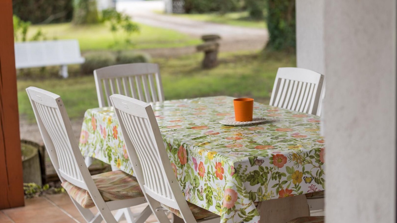 Photo of Outdoor in Taller