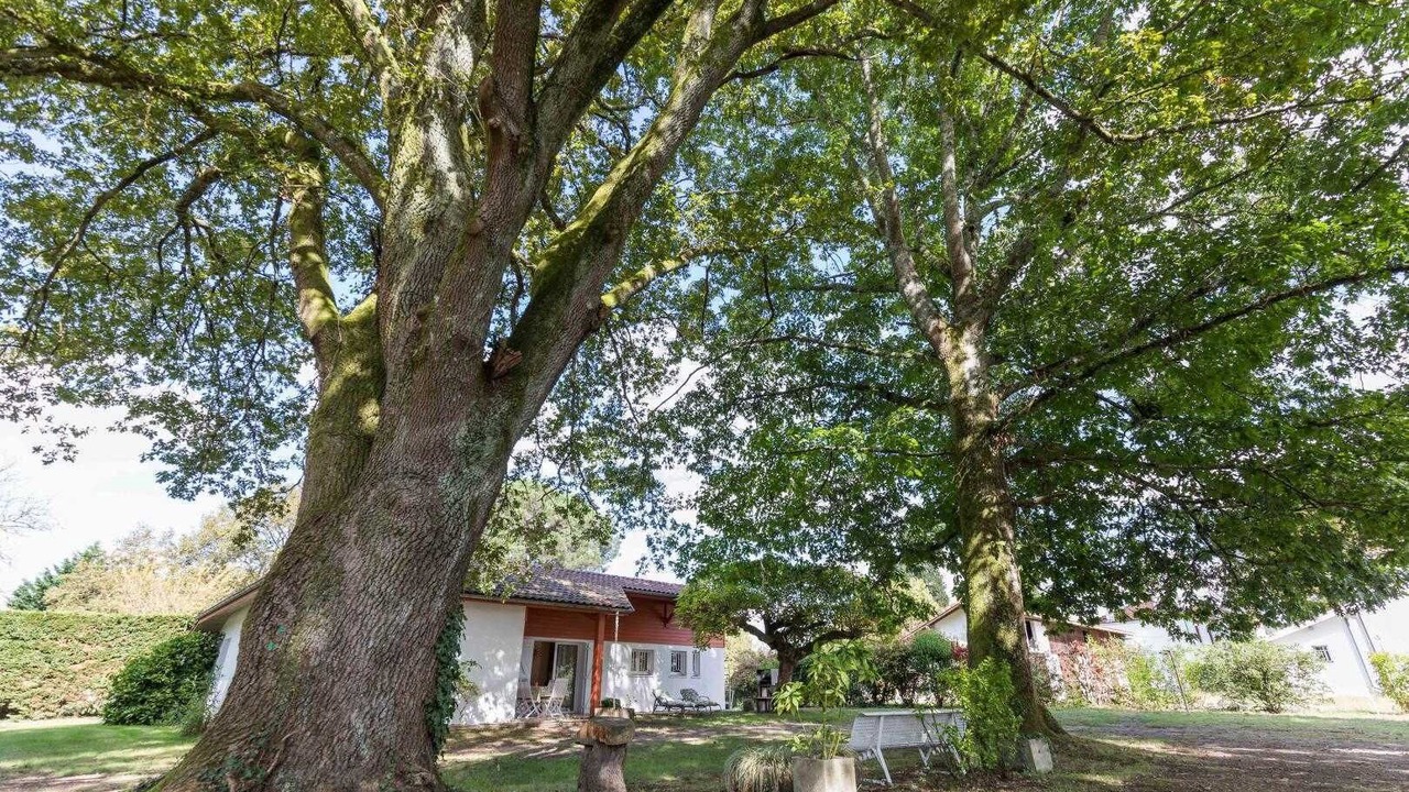 Photo of Outdoor in Taller