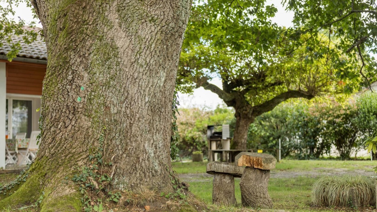 Photo of Outdoor in Taller