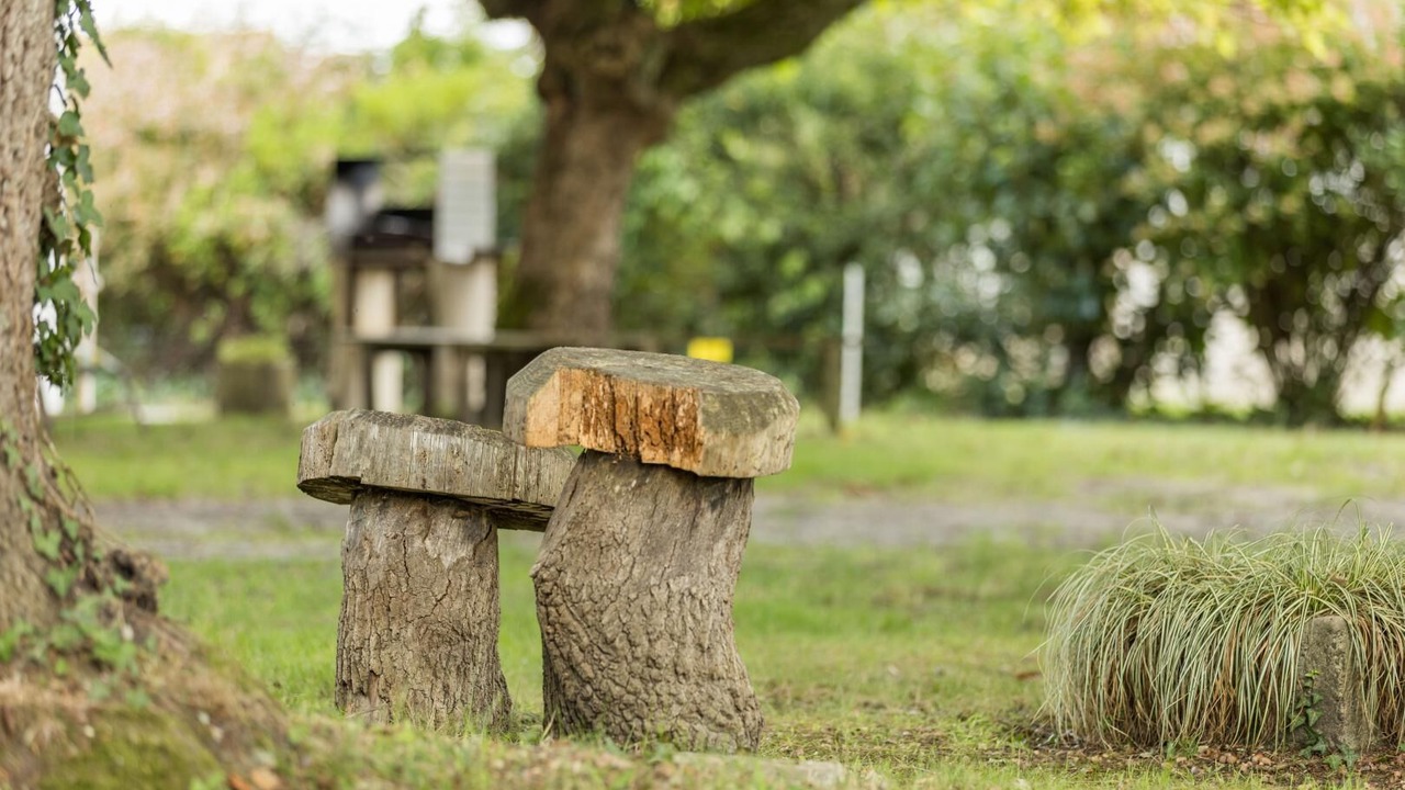 Photo of Outdoor in Taller